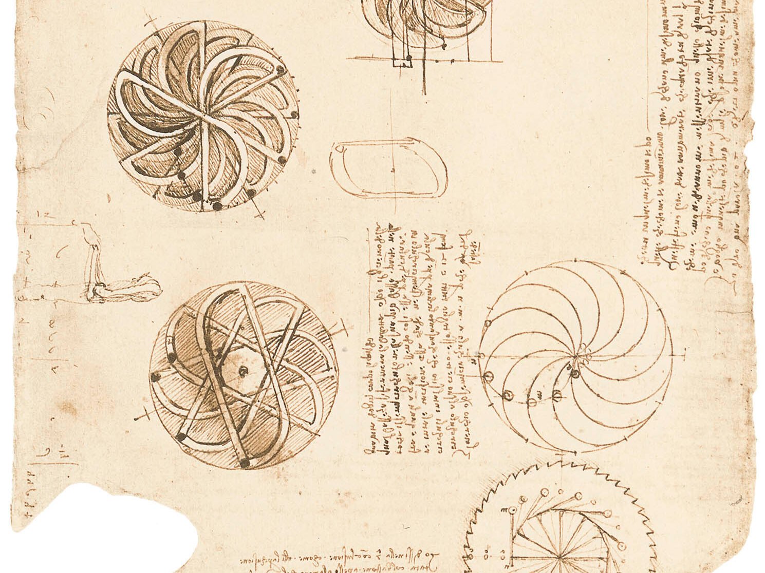 Leonardo Da Vinci, Study for the design of perpetual wheel, 1493, in Codex Atlanticus, f. 1062 r, Veneranda Biblioteca Ambrosiana, Milan illustration for an article on fatty fish and winter depression, the interaction of omega-3 fatty acids with clock genes in the Polar Daylight Wellbeing Guide